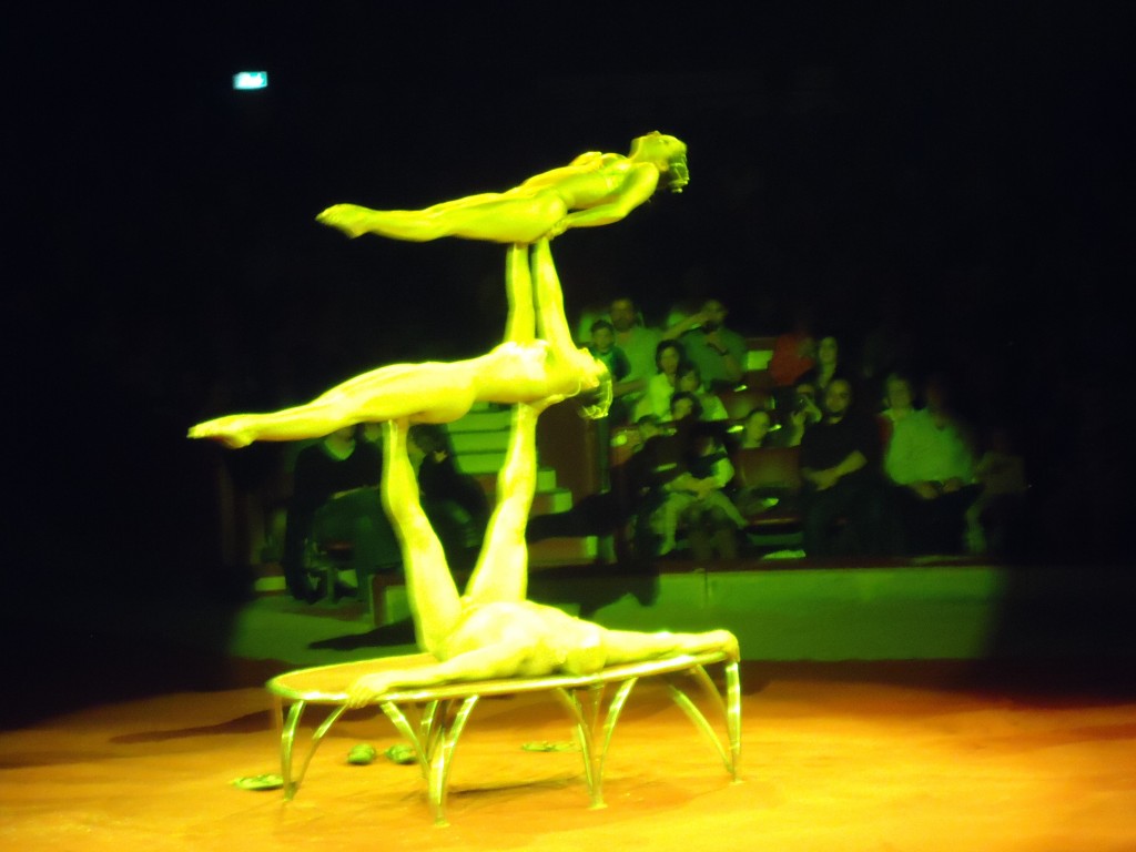 That was one of many amazing postures they could take on!