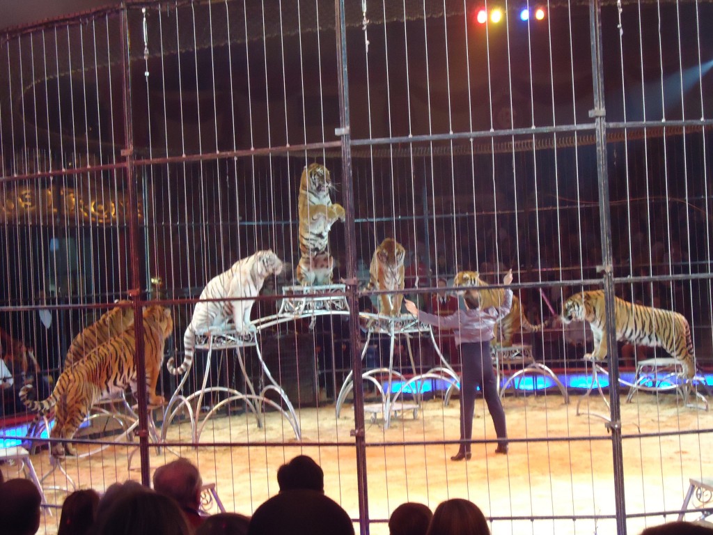 I prefer them in a more natural environment.