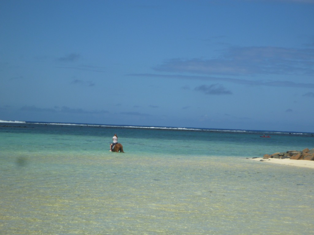 Ah, so nice and cold.  I am sure the horse liked it, too!